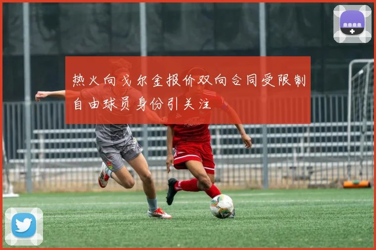 热火向戈尔金报价双向合同受限制自由球员身份引关注