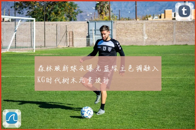 森林狼新球衣曝光蓝绿主色调融入KG时代树木元素设计