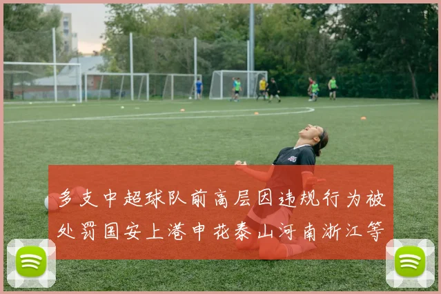 多支中超球队前高层因违规行为被处罚国安上港申花泰山河南浙江等队受影响